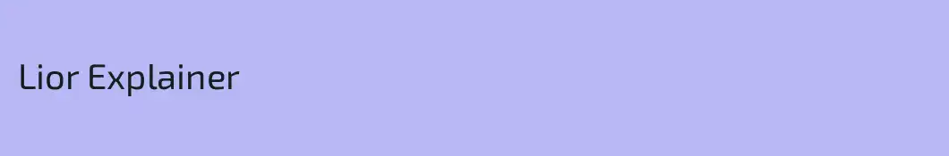 Lior Explainer